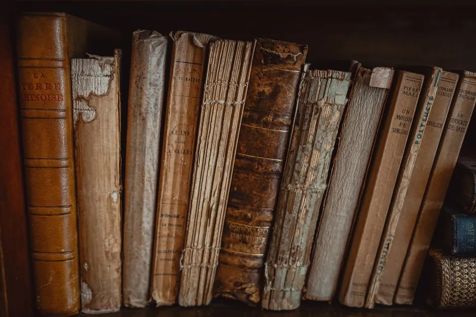 Rows of old hardcover books on a library shelf, evoking a careful reference archive